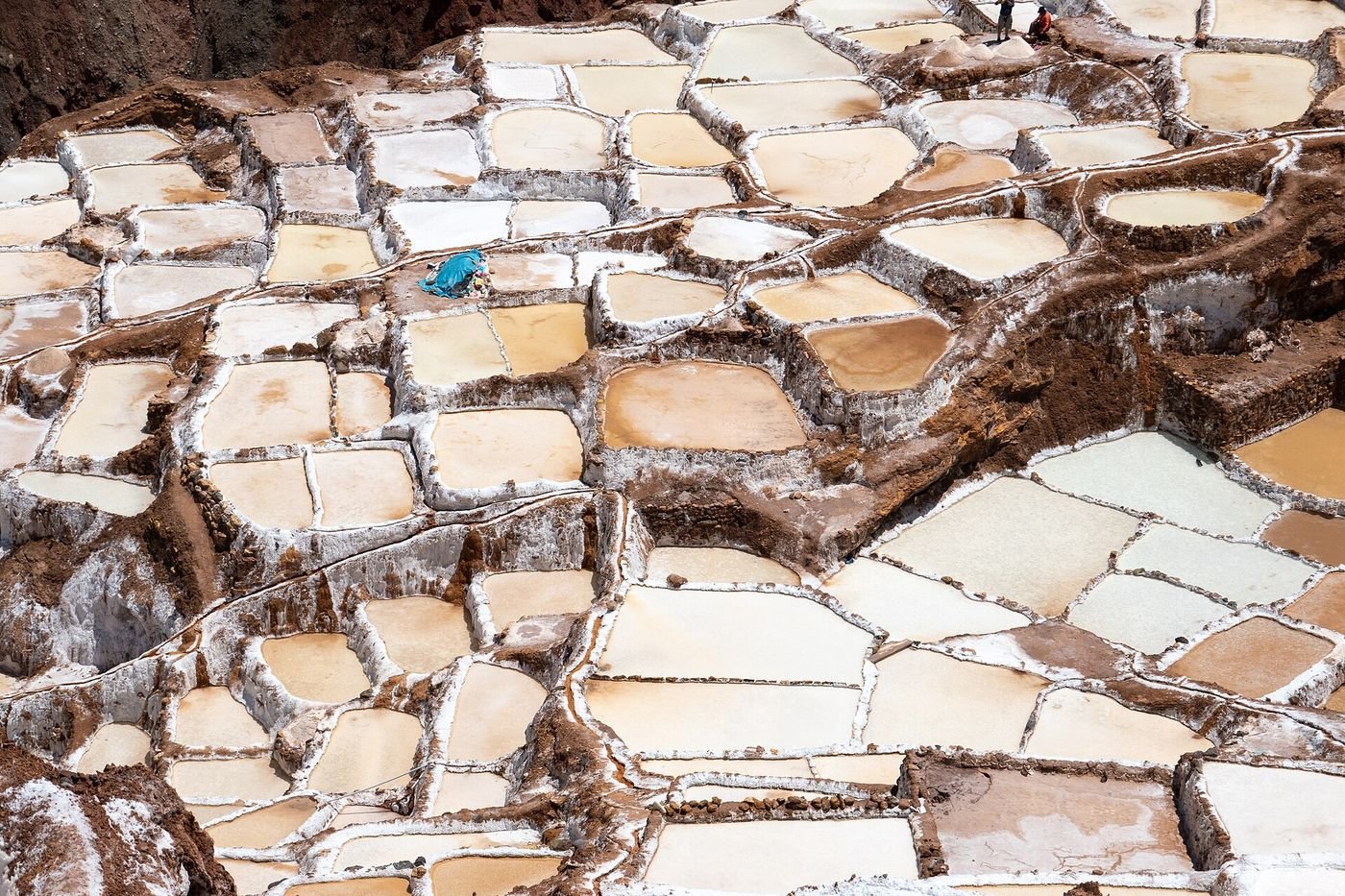 A patchwork of salt pools in shades of white and pink